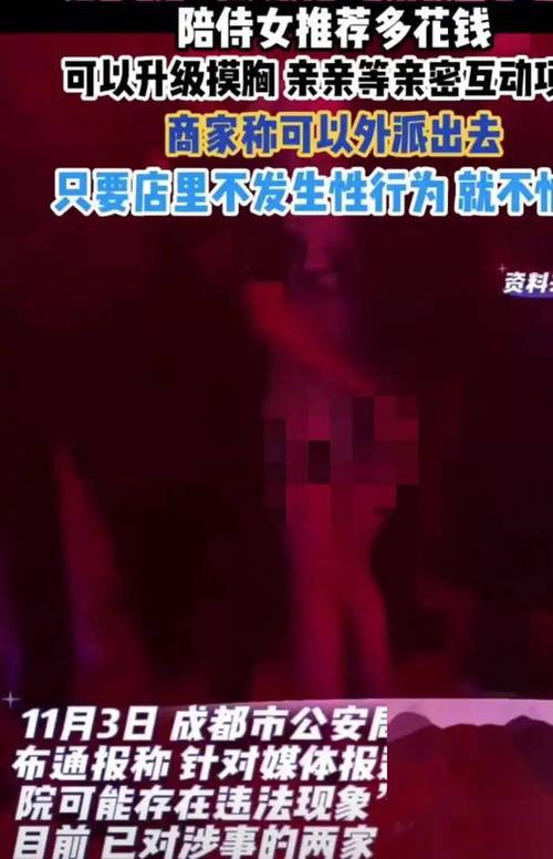 在线18禁网站的相关介绍