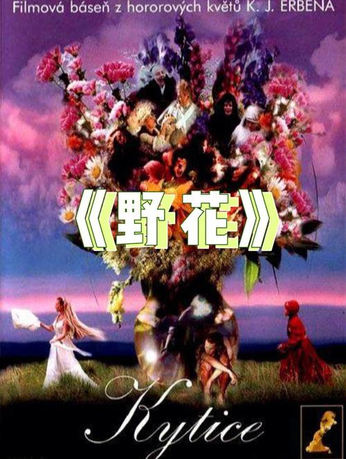 操 白丝美女的相关介绍