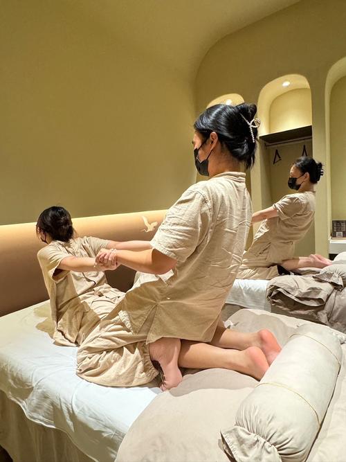 免费观看的视频app免费下载的相关介绍