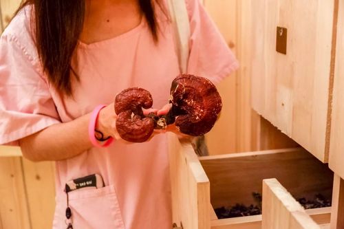 精品欧美人妻在线的相关介绍