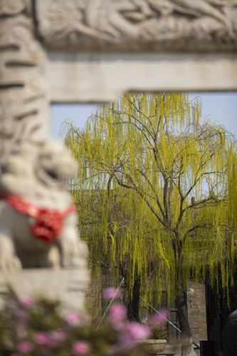 禁网站入口的相关介绍