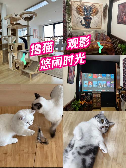 看点视频app下载的相关介绍