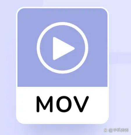 双性挨脔日常h的相关介绍