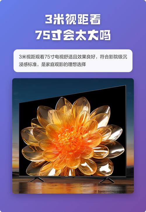 se国产精品的相关介绍
