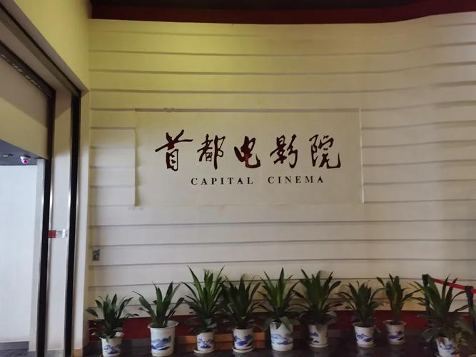 看视频需要下载什么app的相关介绍