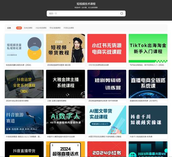 欧美在线成人网的相关介绍