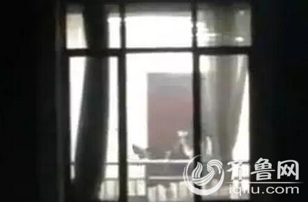 禁止18黄色免费网站的相关介绍