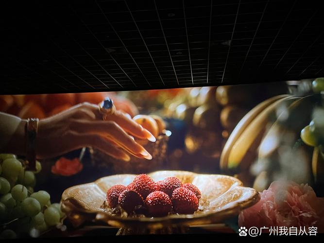 欧美小h的相关介绍
