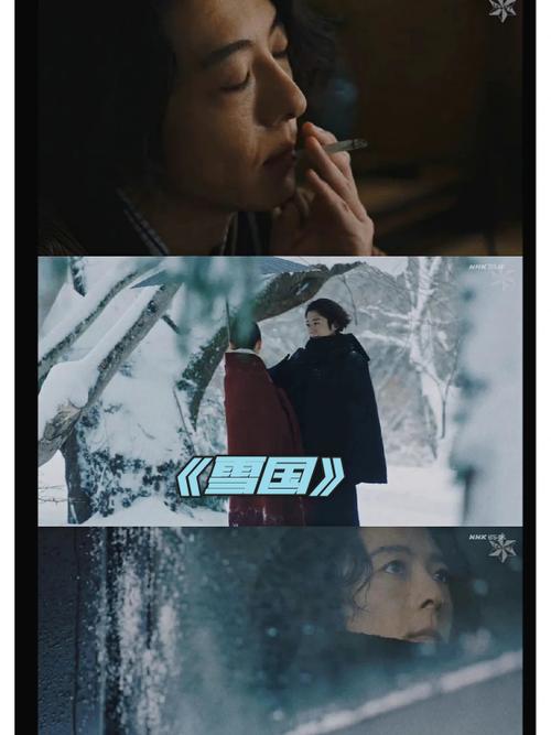 欧美激情免费在线的相关介绍